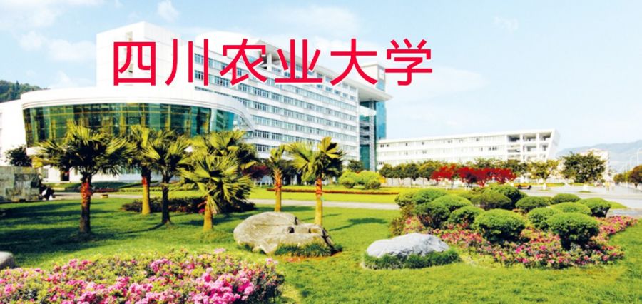 四川农业大学网络教育哪里报名2019年四川农业大学网教开始报名了吗