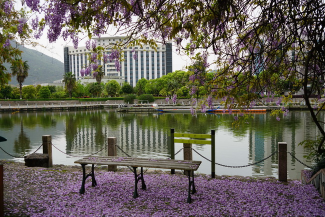 温州大学浙江专升本历年分数线,建议收藏!