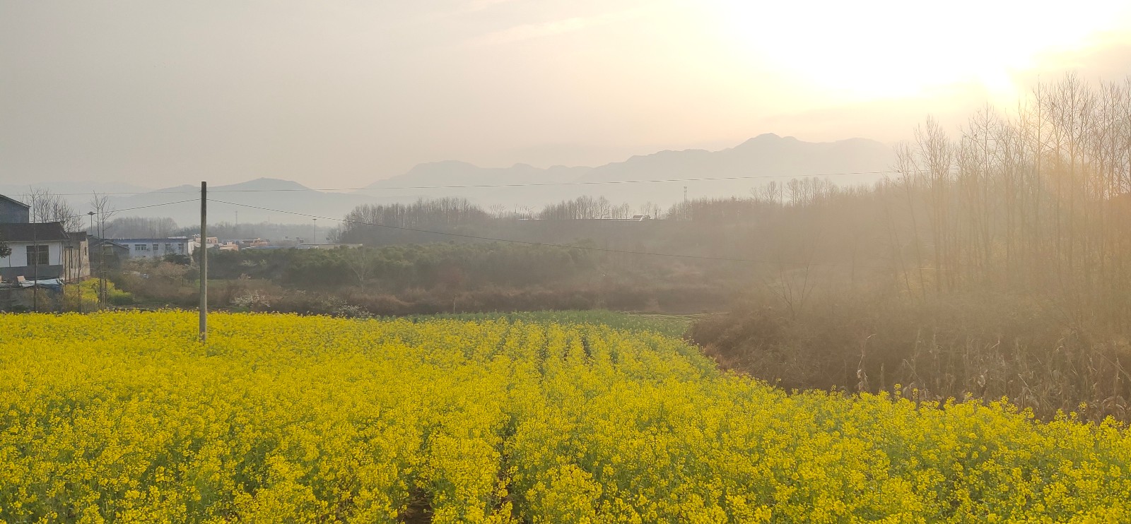 鄭州藝術(shù)培訓