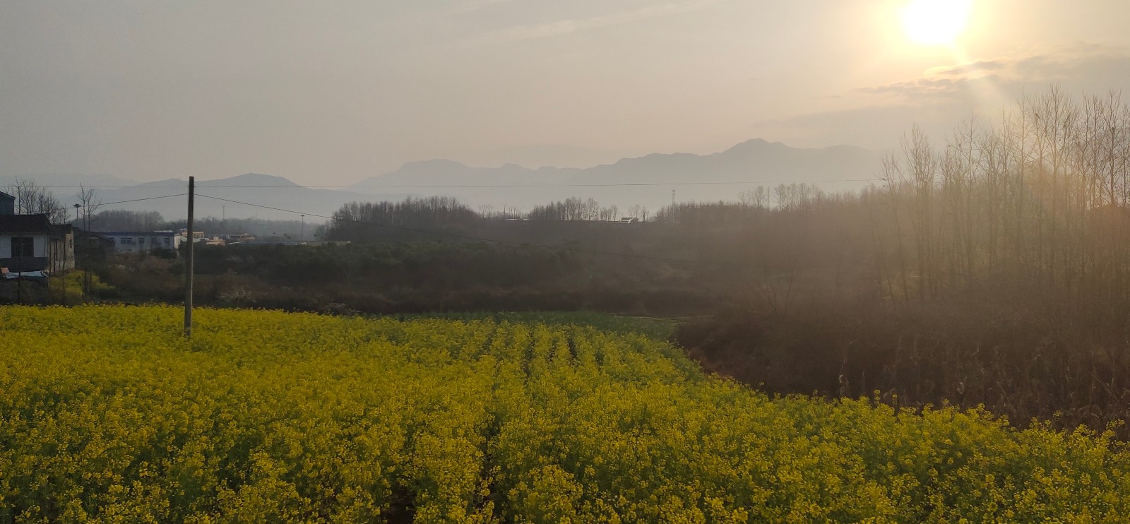 重庆艺考美术内容(艺考六大优势)