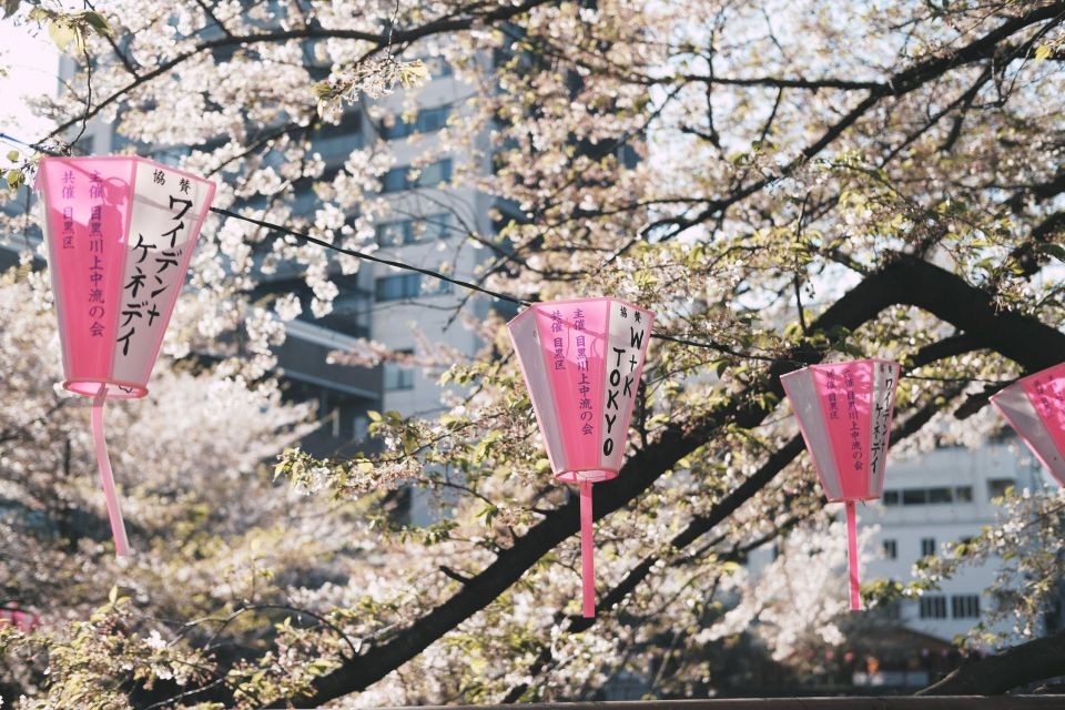 上海日语培训