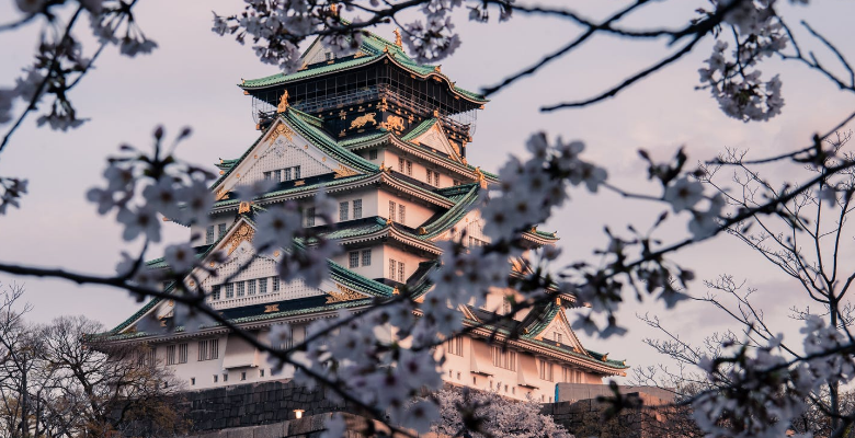 上海韩国建国*语*(设计类留学)