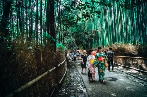 厦门日语培训有哪些机构(怎么自学日语)