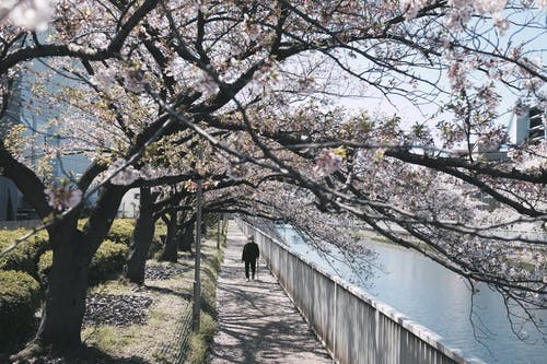 石家庄日语培训