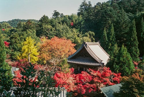 石家庄日语培训