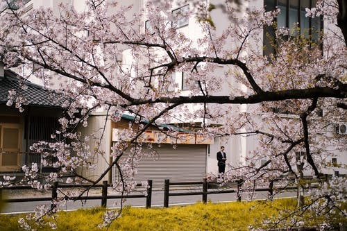 沈阳日本留学预科班