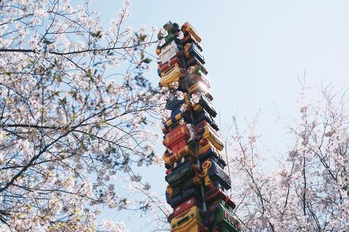 鞍山十大日本留学中介机构推荐(预科班学生到日本的签证率有多少)