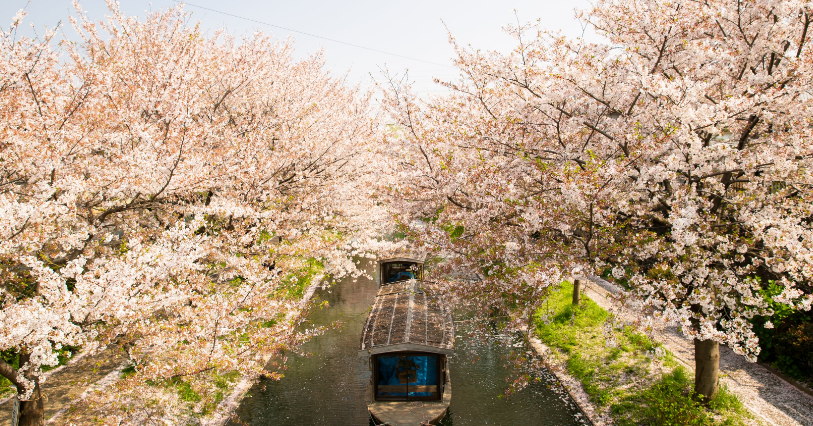 南京五大高考日语培训机构排名新-南京2023高考日语培训教育机构排名(日语等级证是有用的)