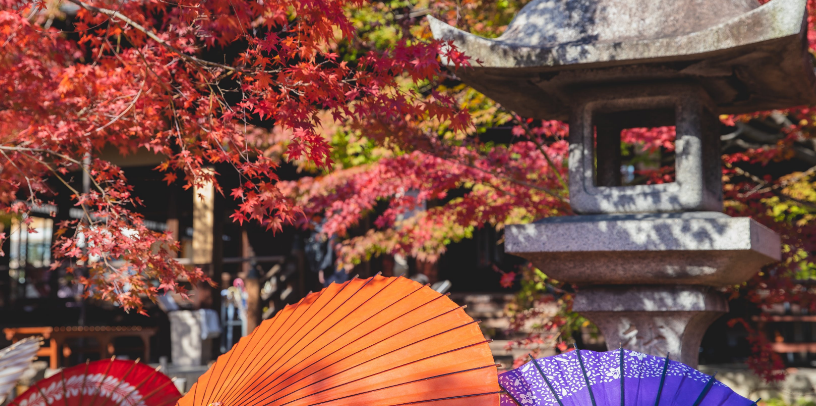 太原一对一日语培训(怎么提升日语)