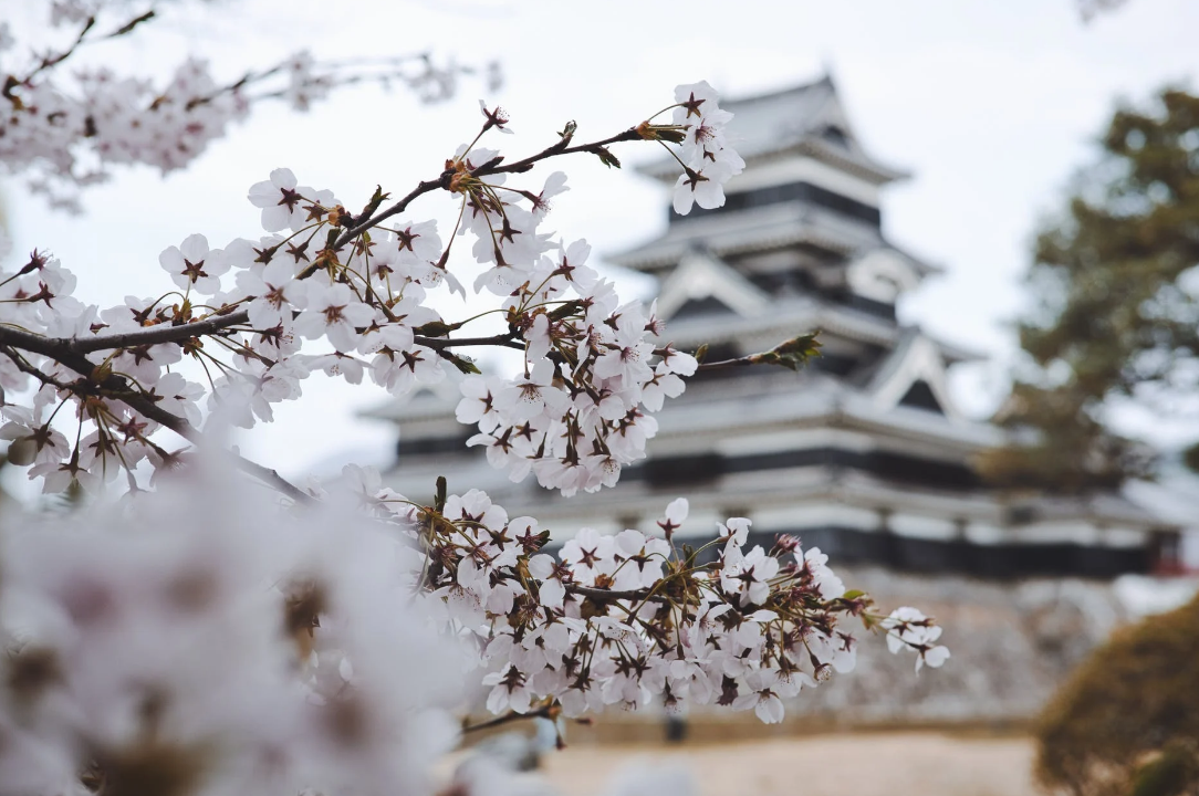 天津日本留学