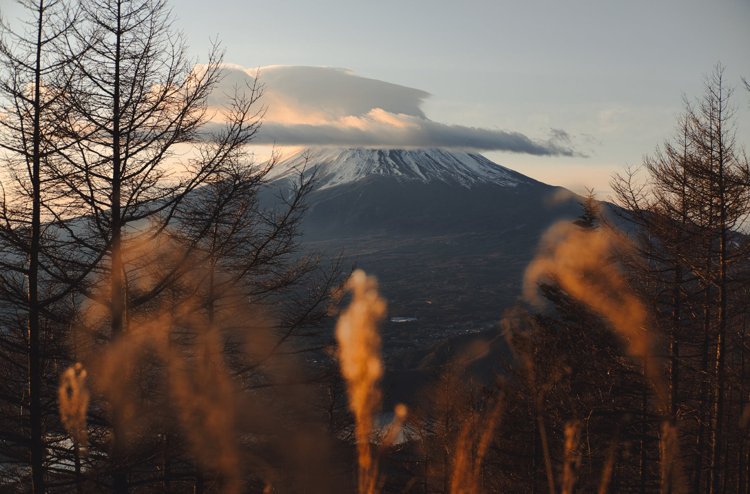 日本留学