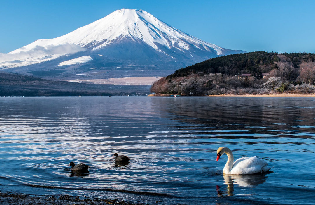 天津日本留学考试辅导花费多少(日本留学专业重要吗)