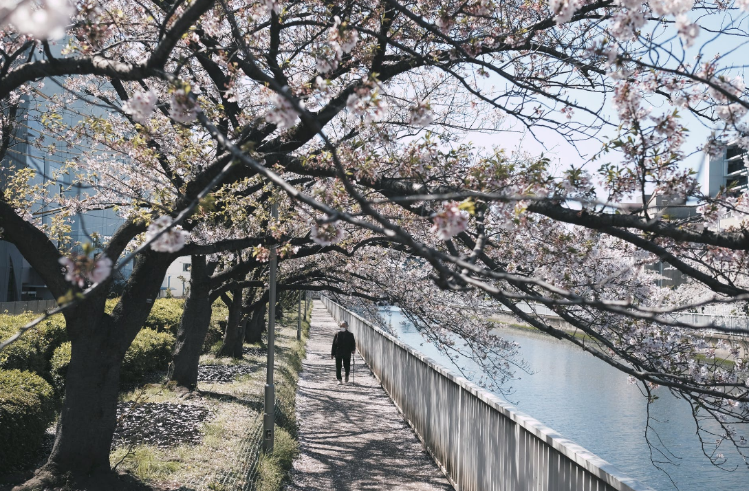 太原留学培训