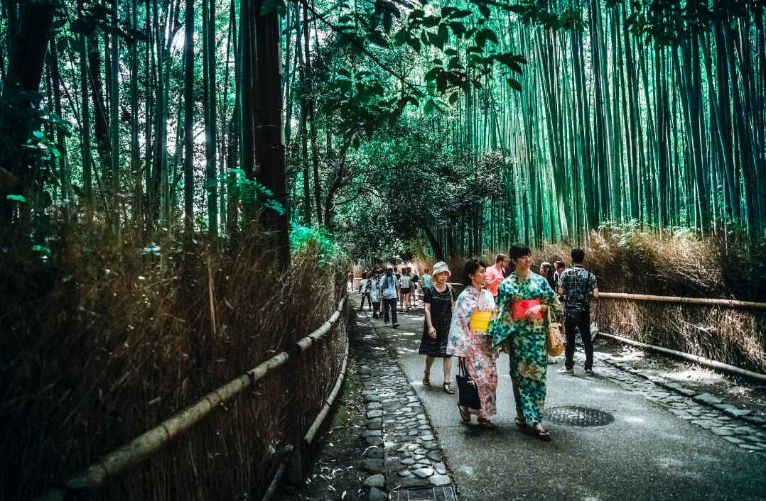 日本留学