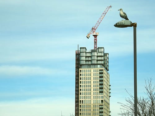 绍兴一级建造师培训