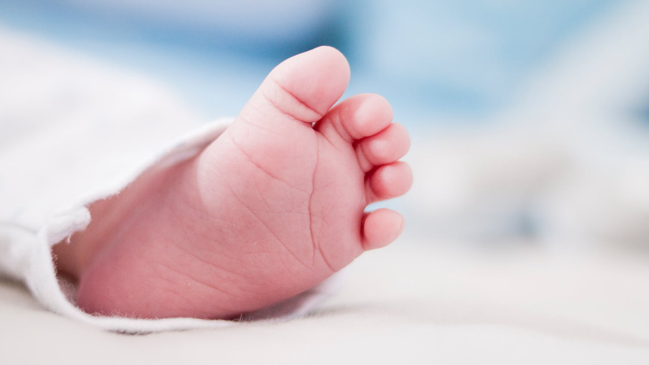2023厦门湖里区比较有名的10大育婴员培训机构排名名单公布(育婴师的培训内容和证书颁发)
