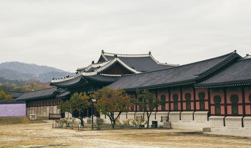 东莞日本留学