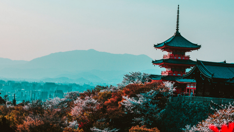 山东日语培训