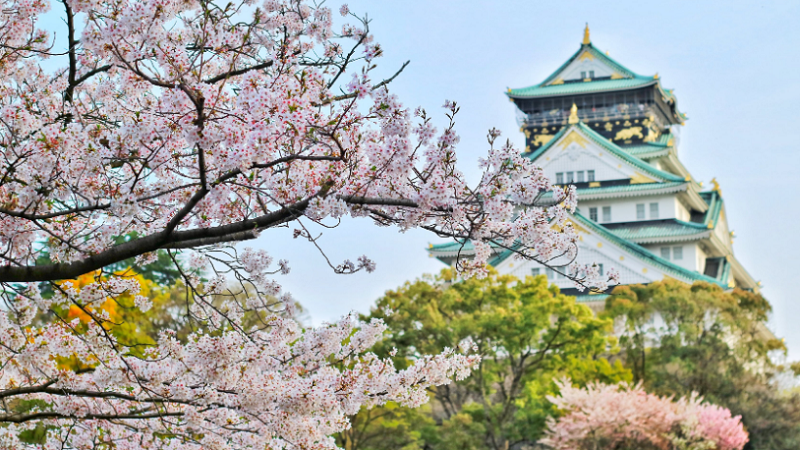 山东日语培训