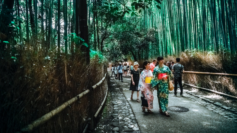 山东日语培训