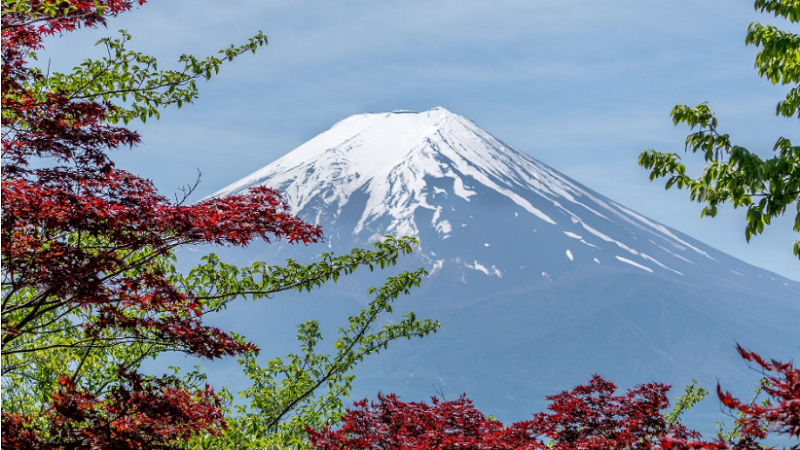 山东日语培训