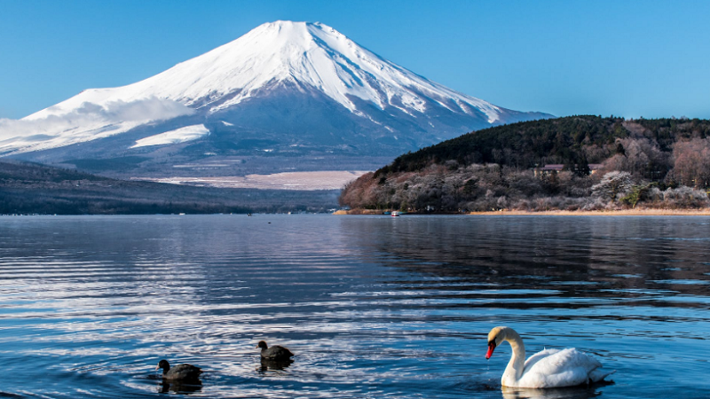 山东日语培训