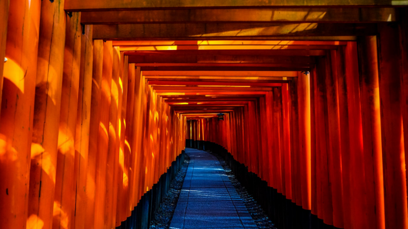 济南历下区日语培训排行榜(自学日语行不行)