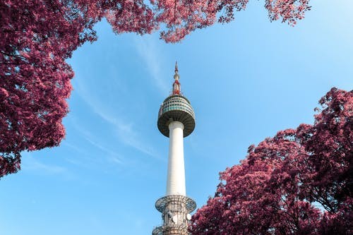 扬州5大英国留学培训排名(家庭条件一般可以去哪些留学)