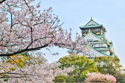 东莞排行榜十佳的10大日本留学中介机构名单出炉(日本留学中介哪家比较靠谱)