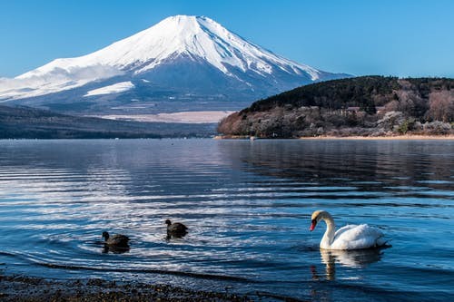 日本留學