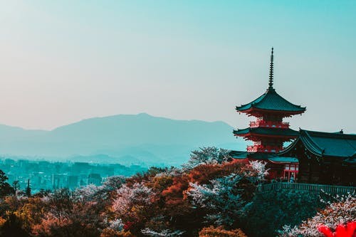 台州去日本留学签证专业机构十强排名(日本留学日本艺术学部)