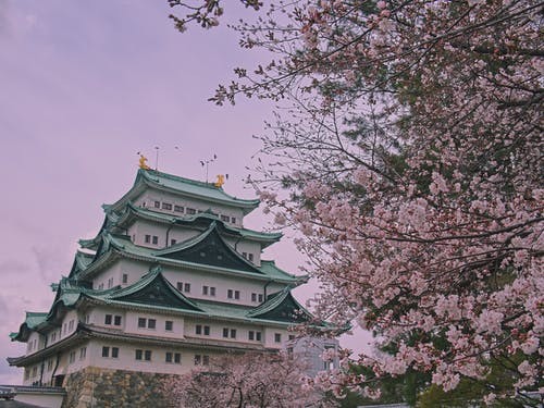 天津日本留学