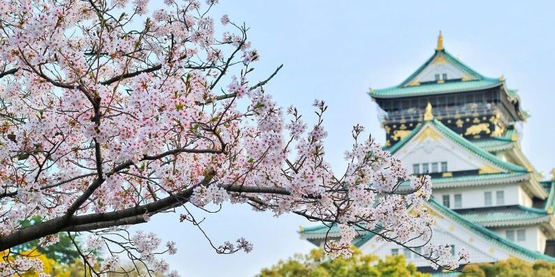 唐山高考日语培训哪里好_唐山热门高考日语培训机构推荐(高考日语报班学习多少钱)