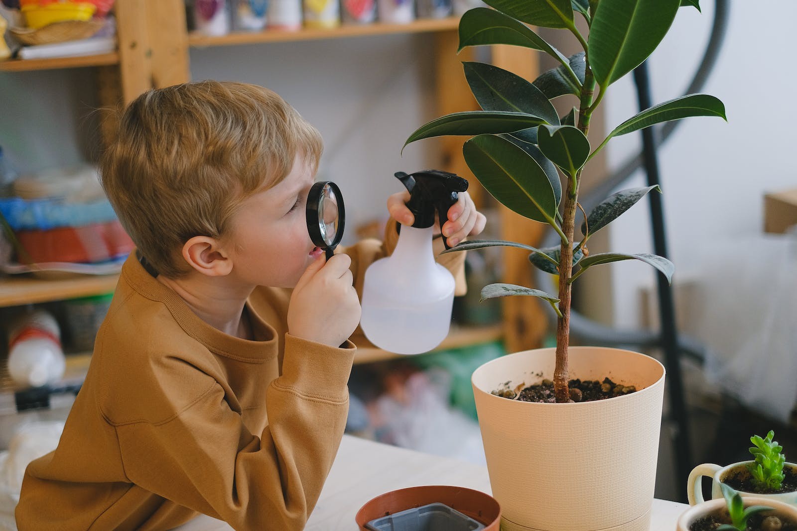 北京小学生作文辅导机构排行榜前十的有哪几家(小学阶段重要的是哪方面)