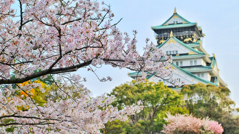 烟台排名前十日本美术留学服务机构推荐(什么是SGU项目)