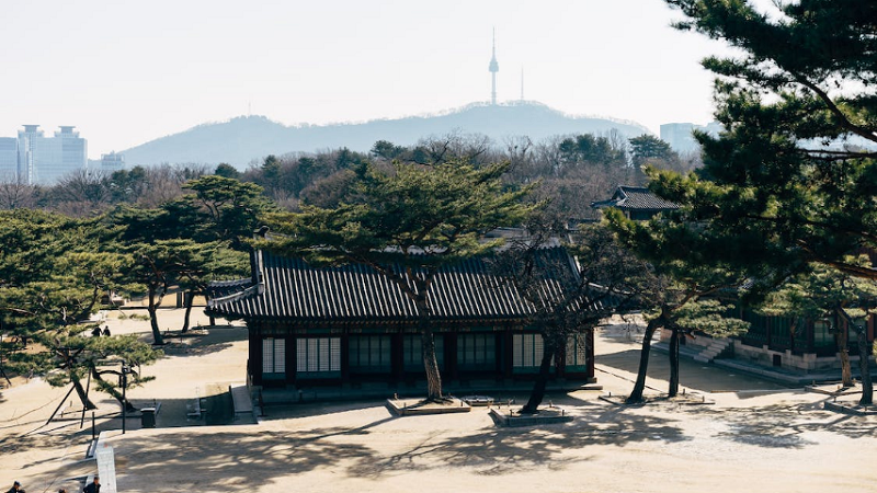 菏泽排名前十韩国研究生留学服务中心排行榜(留学韩国语言到几级)