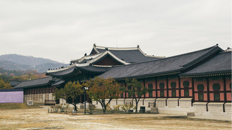 天津哪家韩国留学服务比较好(韩国留学申请对语言的要求)