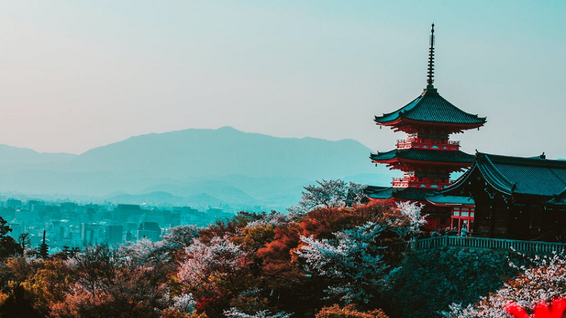 潍坊十大韩国工业设计留学服务中心机构排行榜(韩国留学对语言方面有什么要求)