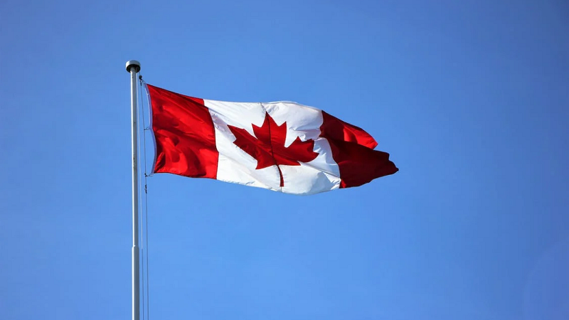 潍坊排名前十加拿大留学中介机构排名(加拿大留学的优势在哪)