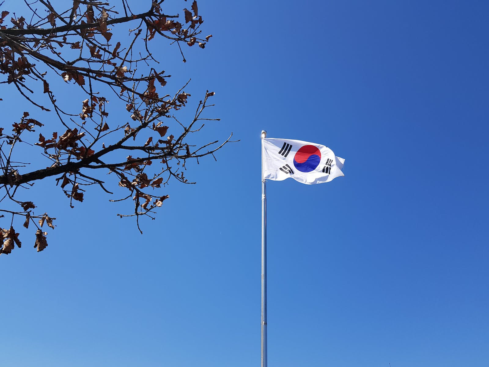 泰安排名前十韩国本科留学服务中心机构排行榜(韩国留学性价比怎么样)