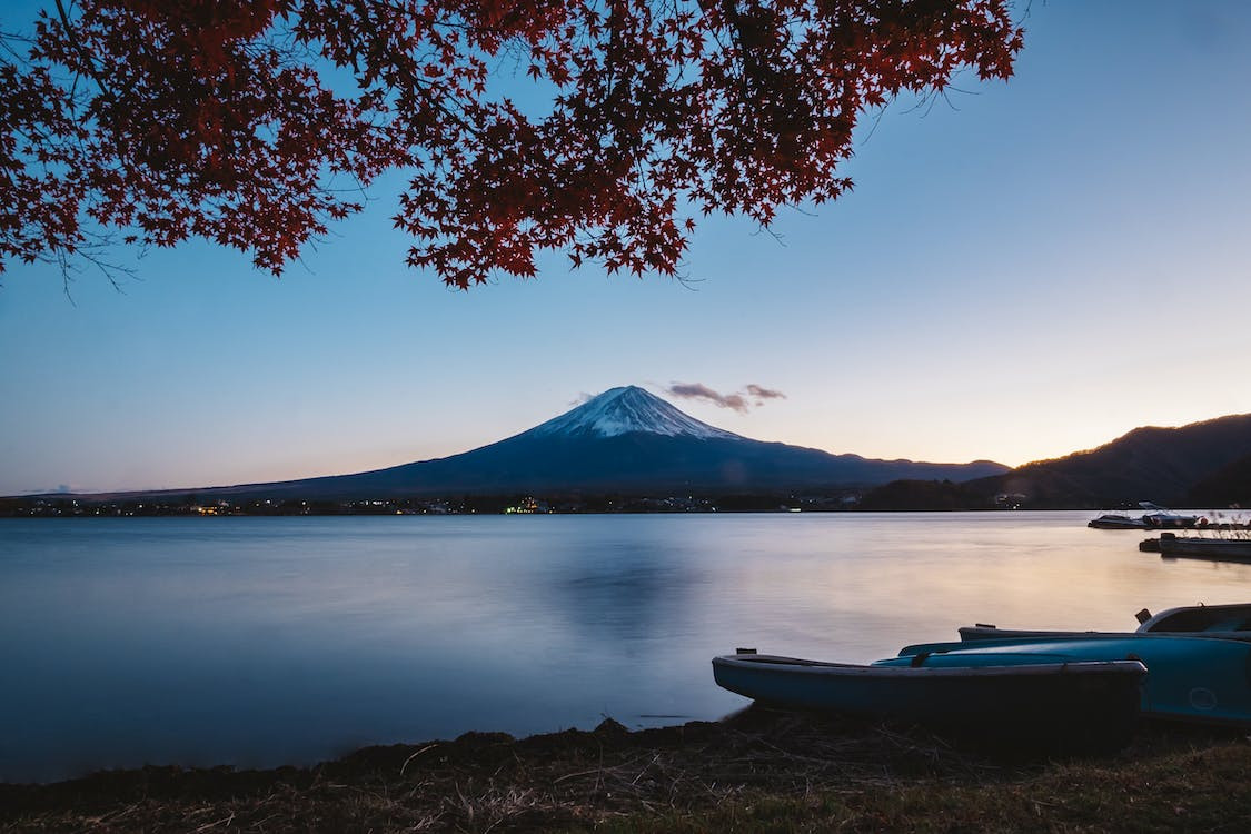 日本留学