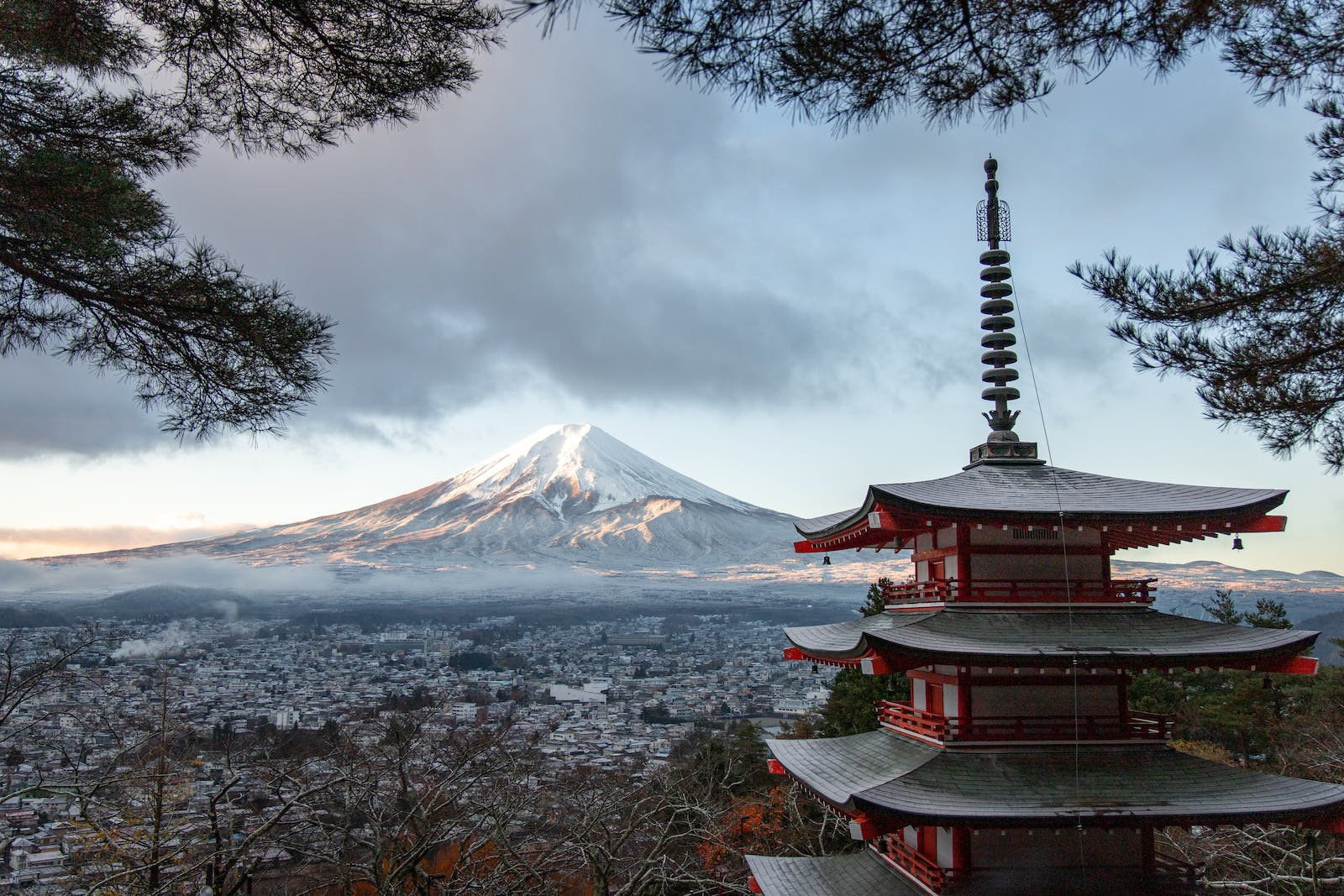 日本留学