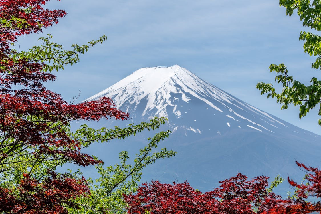 河北日本留學