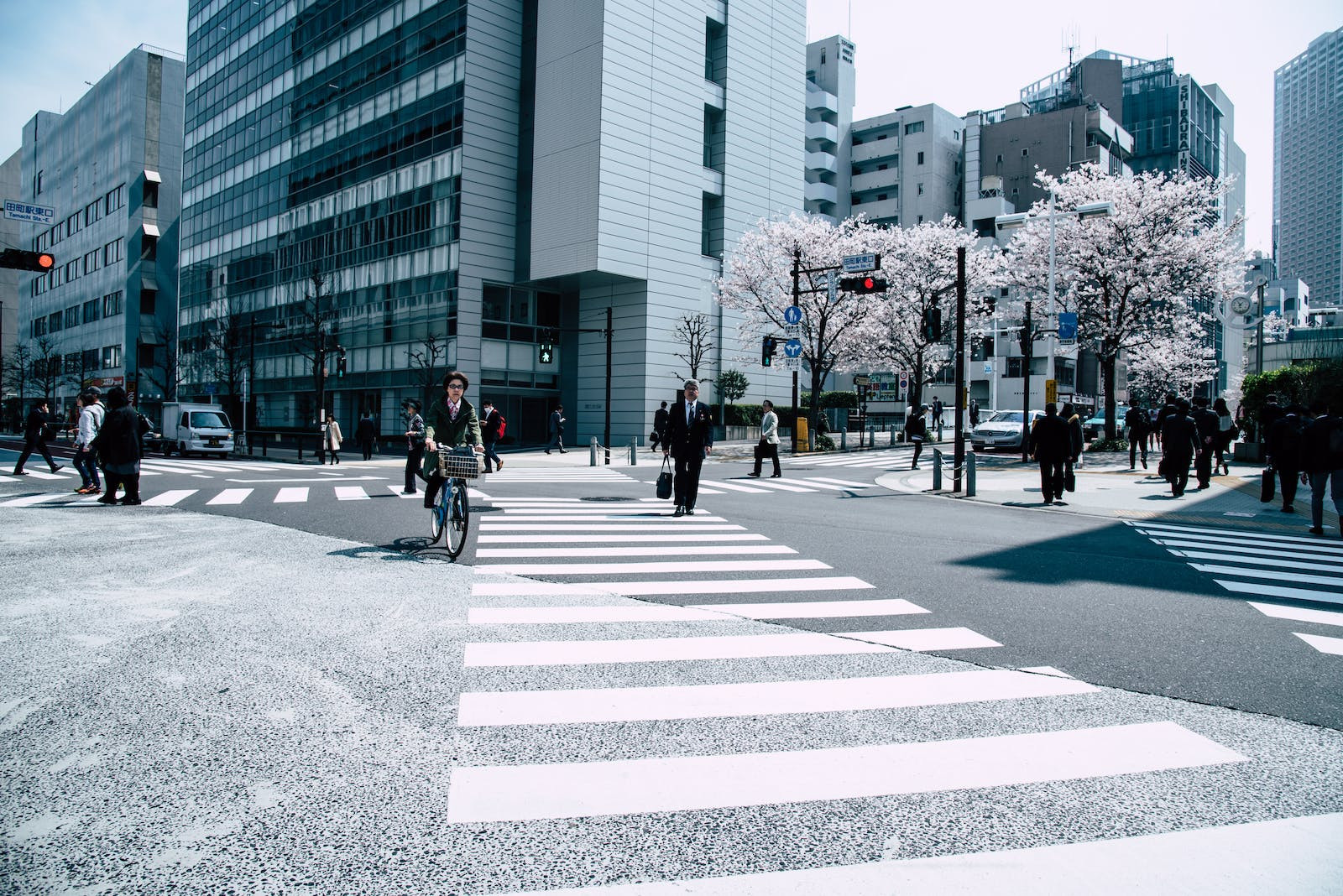 日本留学