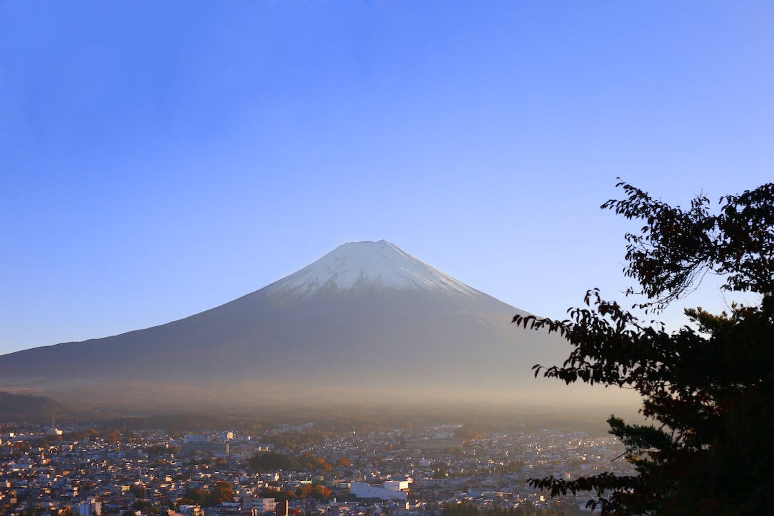 日本留学